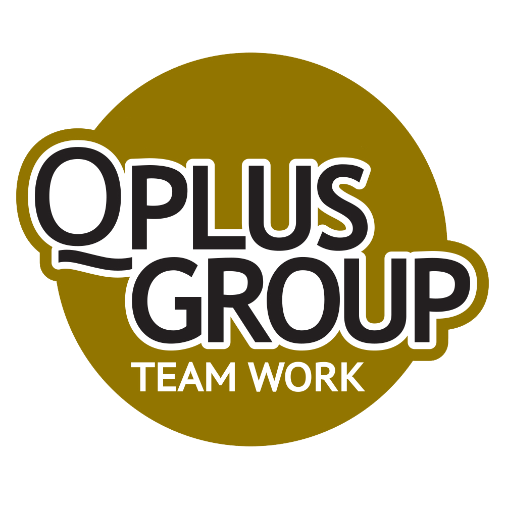 QPLUS CAR